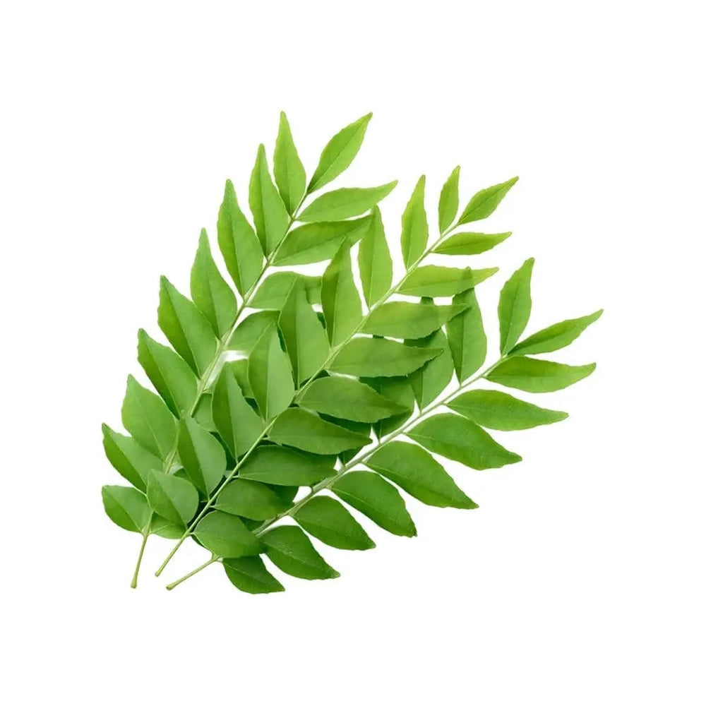 fresh-curry-leaves-20g-indianmarket