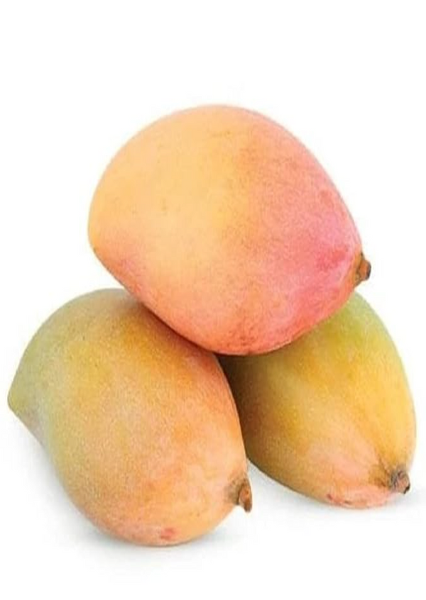 Fresh Mango Ripe Indian /kg