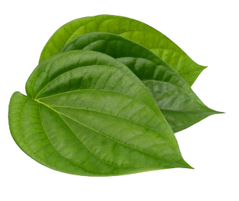 Fresh Betel Leaves for puja 50g