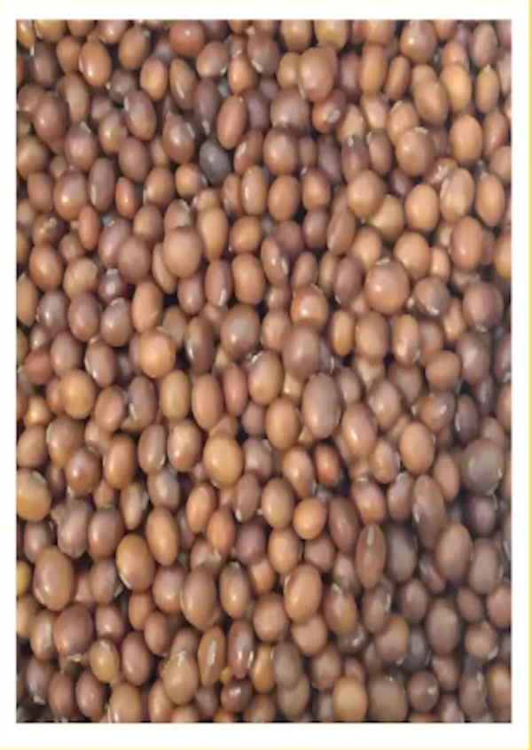 DIYO Brown Soyabean 800g