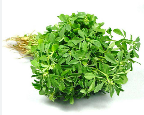 Fresh Methi bundle