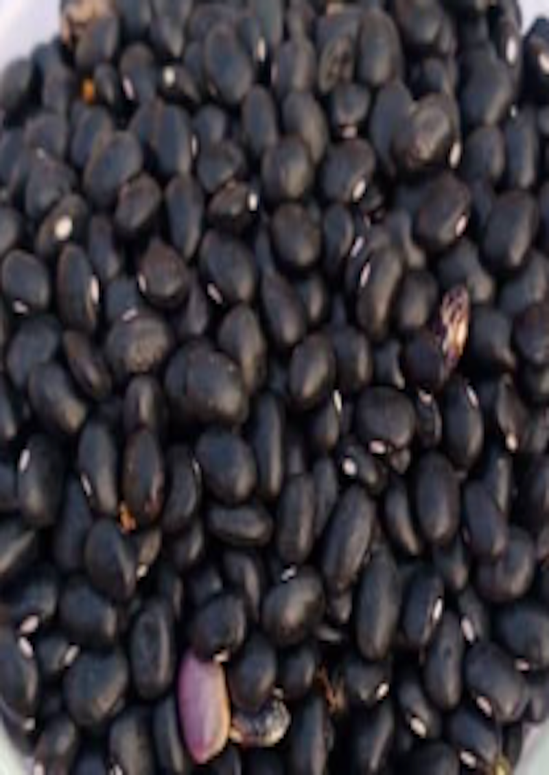 KATHMANDU Black Jumla Beans 1kg – IndianMarket
