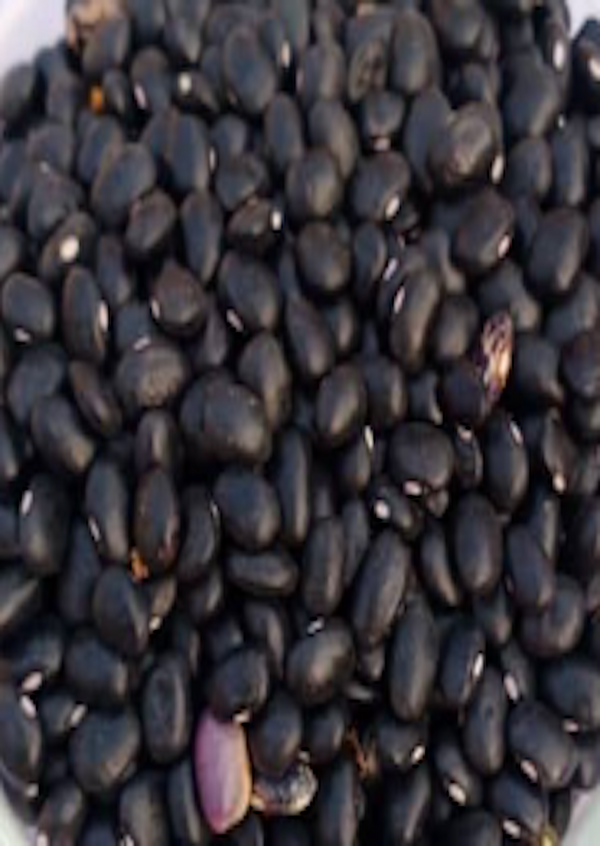 KATHMANDU Black Jumla Beans 1kg