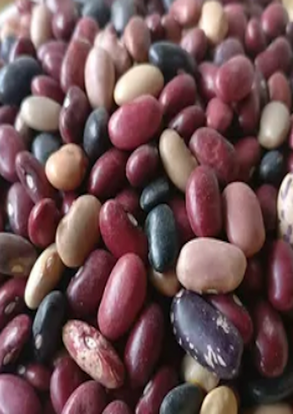 KATHMANDU Mix Jumla Beans 1kg