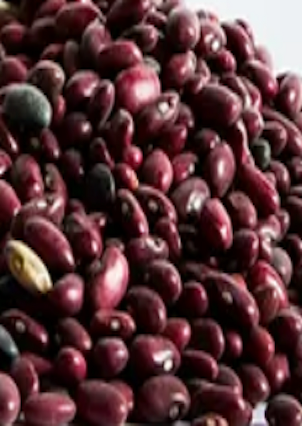 KATHMANDU Red Jumla Beans 1kg