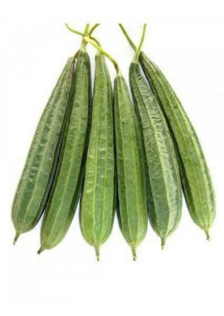 Fresh Turai (Ghiraula) 400g (approx) – IndianMarket
