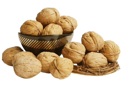 Walnuts in Shell 250g